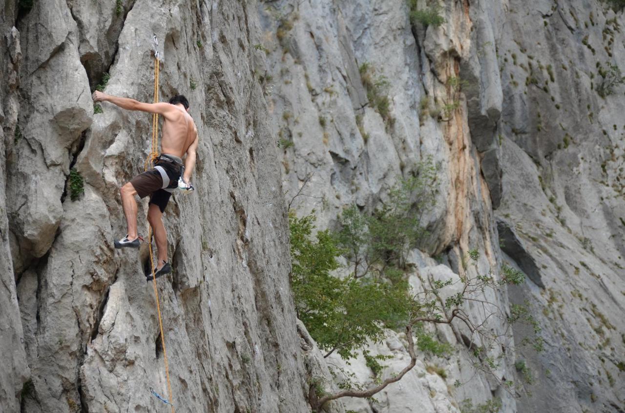 Camping Paklenica Starigrad Paklenica Eksteriør bilde