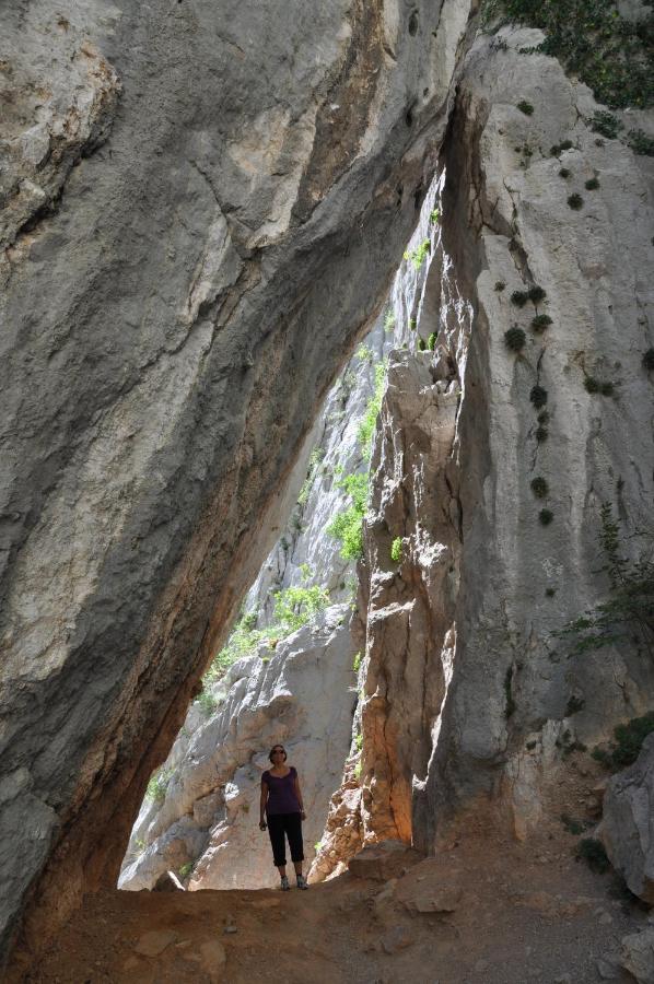 Camping Paklenica Starigrad Paklenica Eksteriør bilde